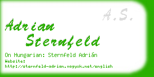 adrian sternfeld business card